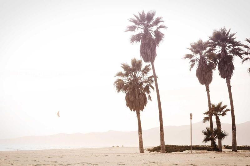 Optimized for Affordable Shared Hosting